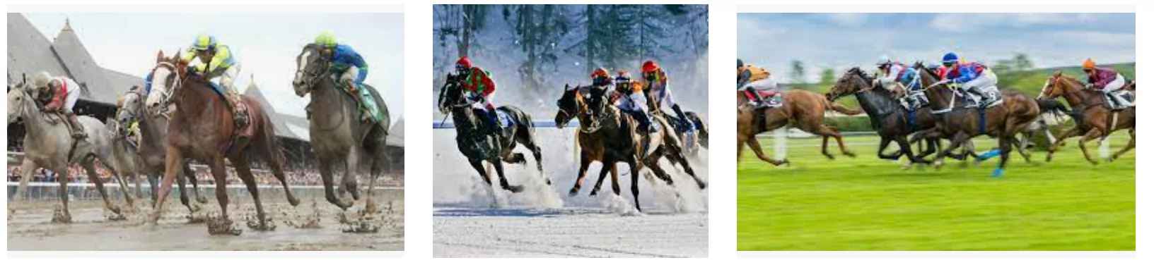 apuestas de caballos tipos de superficies