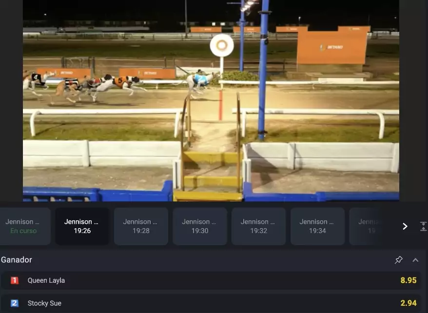 apuestas de galgos apuestas en deportes virtuales betano