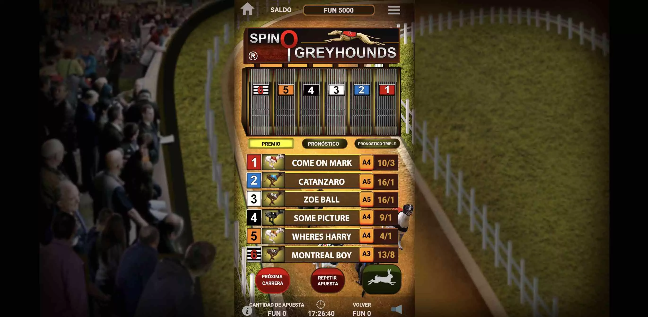 carrera de galgos virtual en 1xbet