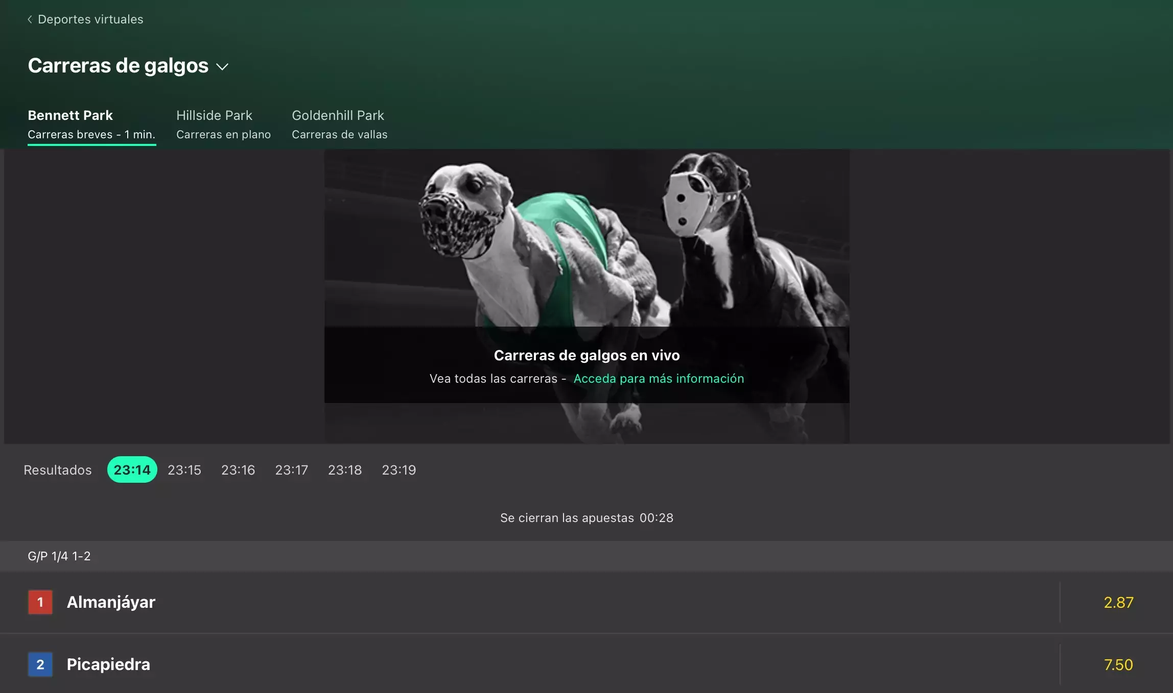 carrera de galgos virtual en bet365